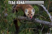 тебе хона!!!!!!!!!!!!!!!!!! 