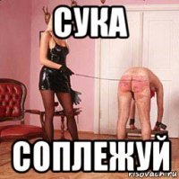 сука соплежуй