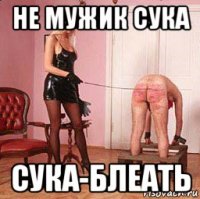 не мужик сука сука-блеать