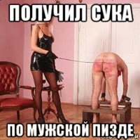 получил сука по мужской пизде