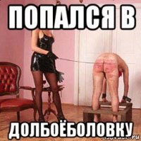 попался в долбоёболовку