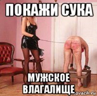 покажи сука мужское влагалище