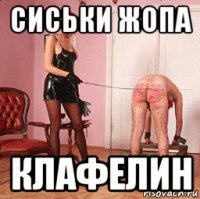сиськи жопа клафелин