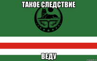 такое следствие веду