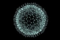 Создать мем Coronaviridae
