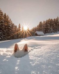 Создать мем Доброе утро