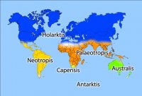Создать мем Карта флористического районирования