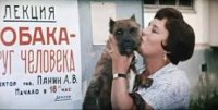 Создать мем Панин и собака