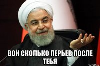  вон сколько перьев после тебя