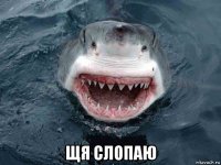  щя слопаю