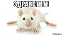 здравстьте 