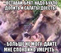 - вставай, брат, надо бухло допить и салаты доесть! - больше не могу, дайте мне спокойно умереть...