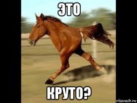 это круто?