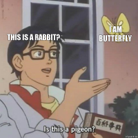 this is a rabbit? I am butterfly 