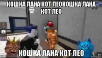 кошка лана кот леокошка лана кот лео кошка лана кот лео