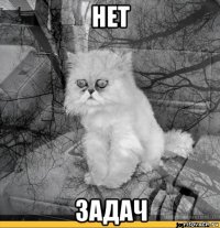 нет задач