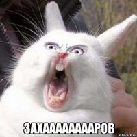  захааааааааров