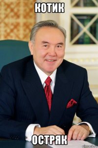 котик остряк