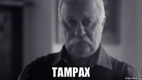  tampax