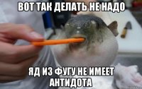 вот так делать не надо яд из фугу не имеет антидота