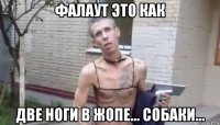 фалаут это как две ноги в жопе... собаки...