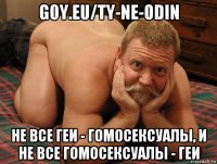 g0y.eu/ty-ne-odin не все геи - гомосексуалы, и не все гомосексуалы - геи