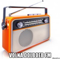  volna dolboeb fm