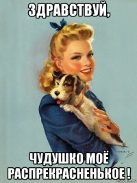 здравствуй, чудушко моё распрекрасненькое !