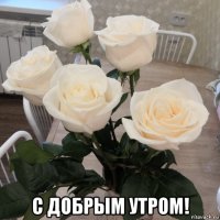  с добрым утром!