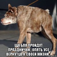  ща бля пройдут празднички...опять усе вернутцо к своей жизни...