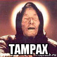  tampax