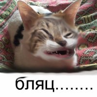Создать мем Бляц