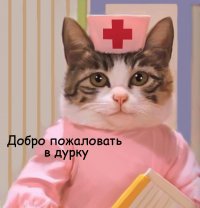 Создать мем CatsD