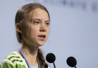 Создать мем Greta