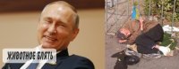 Создать мем Хохложивотное