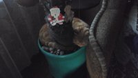 Создать мем Косяк косевна