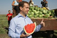 Создать мем Медведев