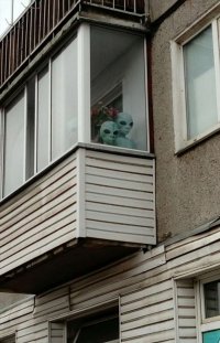  рен тв следит за миром!!!, Мем Семья директора рен тв