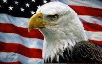 Создать мем USA