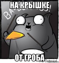 на крышке от гроба