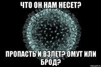 что он нам несет? пропасть и взлет? омут или брод?