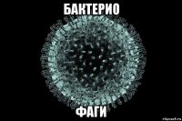 бактерио фаги