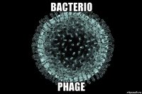 bacterio phage