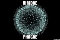 viridae phagae
