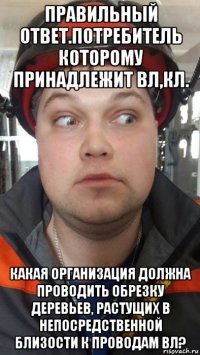 правильный ответ.потребитель которому принадлежит вл,кл. какая организация должна проводить обрезку деревьев, растущих в непосредственной близости к проводам вл?