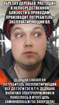 обрезку деревьев, растущих в непосредственной близости к проводам, производит потребитель, эксплуатирующий вл. дедушка сказал он потребитель эксплуатирующий все до гэс и гэс в.т.ч. дедушка включил электроприемник и понеслось.в итоге цепь замкнкулась и гэс запердела!