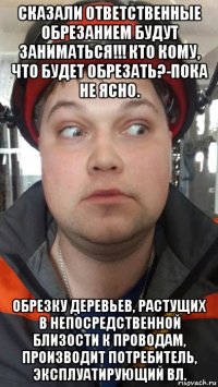 сказали ответственные обрезанием будут заниматься!!! кто кому, что будет обрезать?-пока не ясно. обрезку деревьев, растущих в непосредственной близости к проводам, производит потребитель, эксплуатирующий вл.