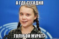 а где сегодня голубой мурат?