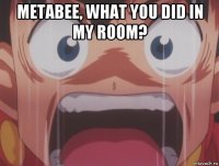 metabee, what you did in my room? 