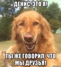 денис, это я! ты же говорил, что мы друзья!